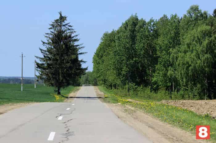 8-doroga.jpg 8-doroga.jpg